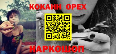 ПСИЛОЦИБИНОВЫЕ ГРИБЫ Гусев