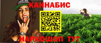индика Гусь-Хрустальный