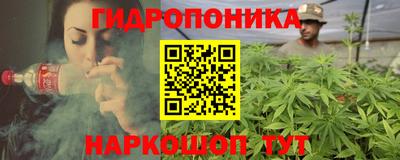 индика Гусь-Хрустальный