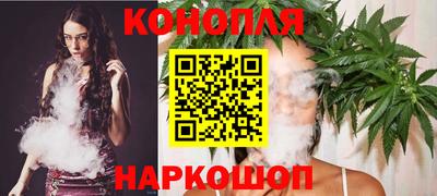 индика Гусь-Хрустальный