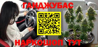 индика Гусь-Хрустальный