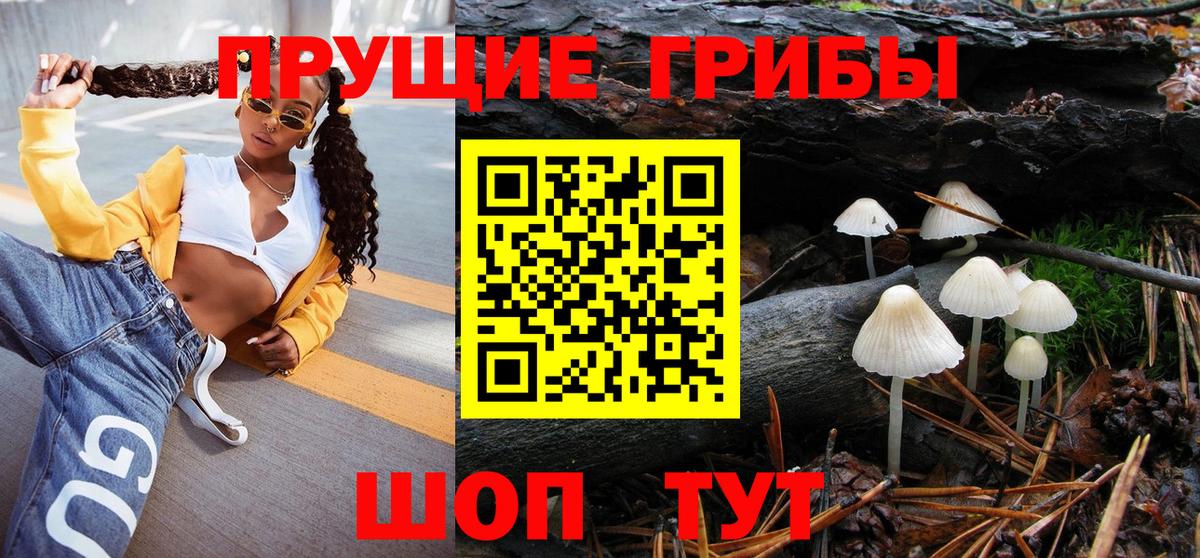 Кемерово  наркотики  Вход с VPN  Псилоцибиновые грибы мухоморы 